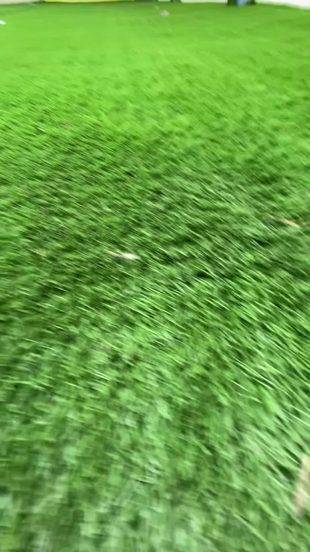 چمن مصنوعی - فضای سبز|مصالح و تجهیزات ساختمان|کرمانشاه, |دیوار