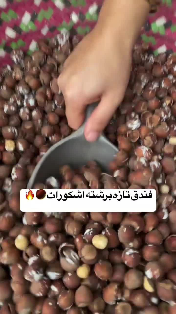 فندق|خوردنی و آشامیدنی|کرج, فاز ۴ مهرشهر|دیوار