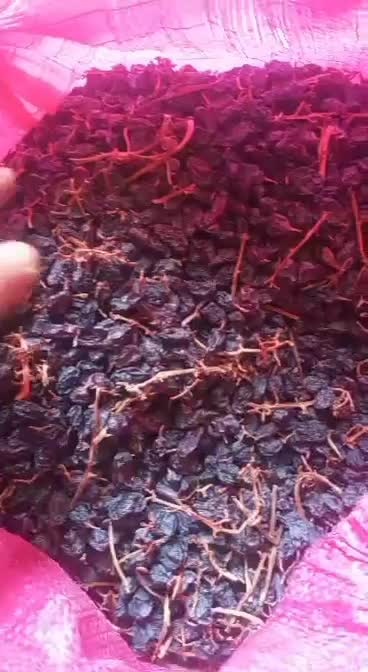 فروش مویز|خوردنی و آشامیدنی|شیراز, گویم|دیوار