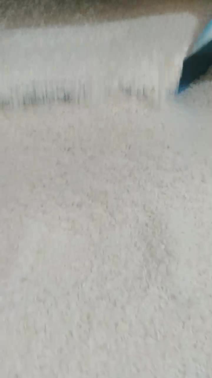 برنج‌طارم|خوردنی و آشامیدنی|گیلان غرب, |دیوار