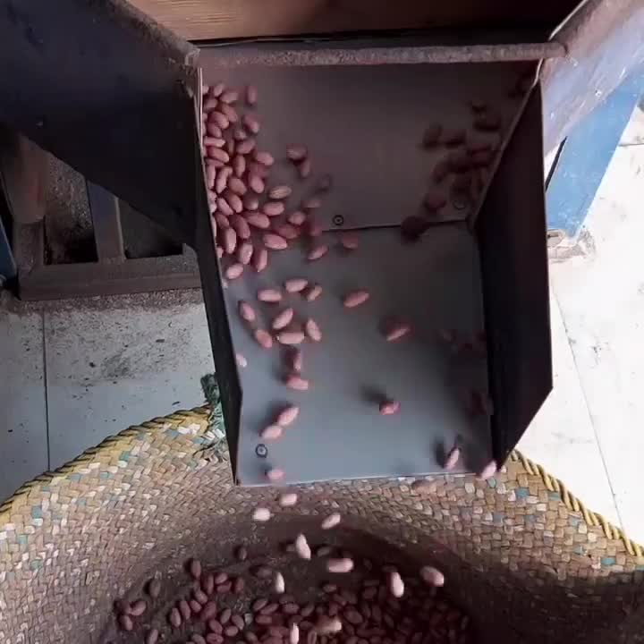 بادام زمینی|خوردنی و آشامیدنی|کرج, فاز ۴ مهرشهر|دیوار