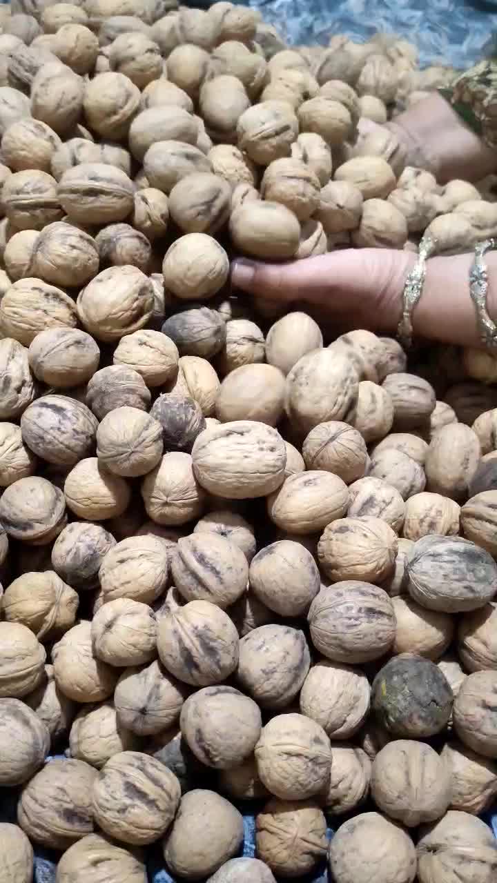 گردو|خوردنی و آشامیدنی|دهدشت, |دیوار