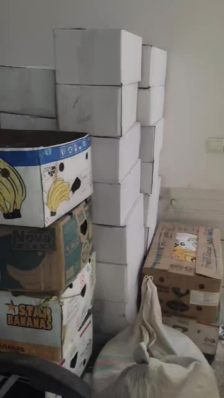 حبه سنجد توت دارچین زنجبیل زیره کاکائو عناب|عمده‌فروشی|بیرجند, |دیوار