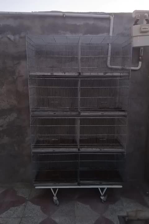 قفس|لوازم جانبی حیوانات|سیرجان, |دیوار