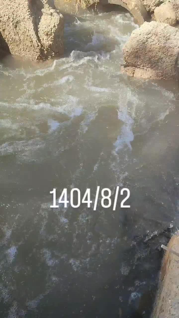 زمین کشاورزی درجه یک|فروش دفتر صنعتی، کشاورزی، تجاری|سوسنگرد, |دیوار