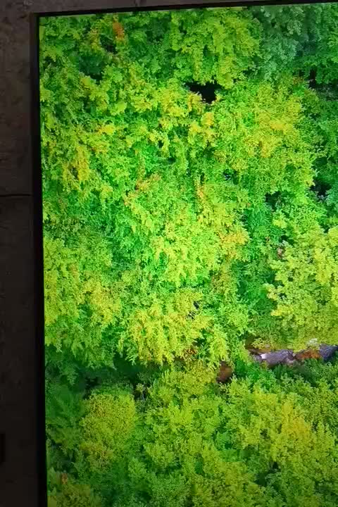 تلویزیون هوشمند دوو ۵۵ اینچ 4K|تلویزیون و پروژکتور|تهران, نازی‌آباد|دیوار