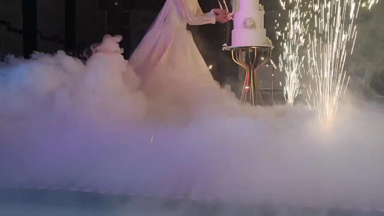 دیجی بانوان|خدمات پذیرایی، مراسم|گناباد, |دیوار