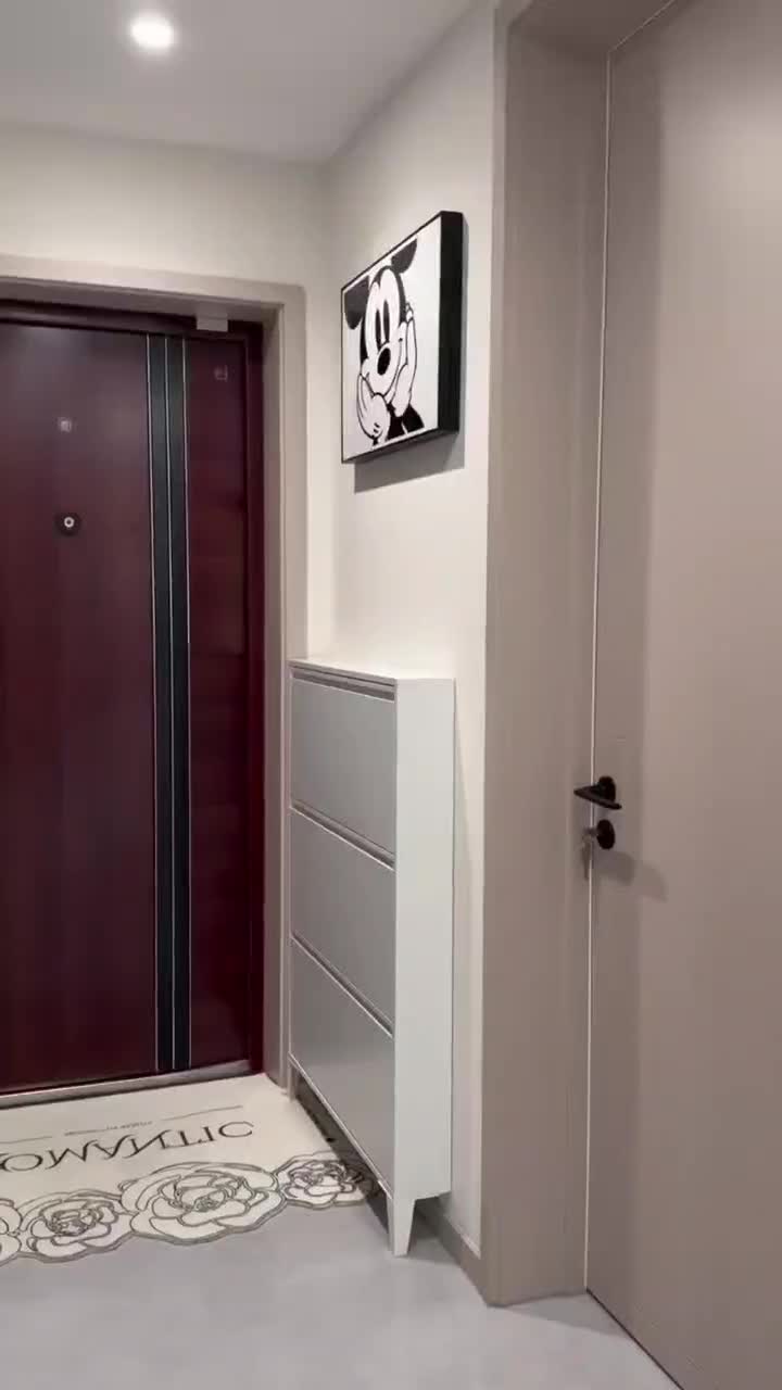 جاکفشی کم جا . جاکفشی داشبوردی  کفش کتونی|جاکفشی، کمد، دراور|کرج, مجتمع صنفی صنعتی|دیوار