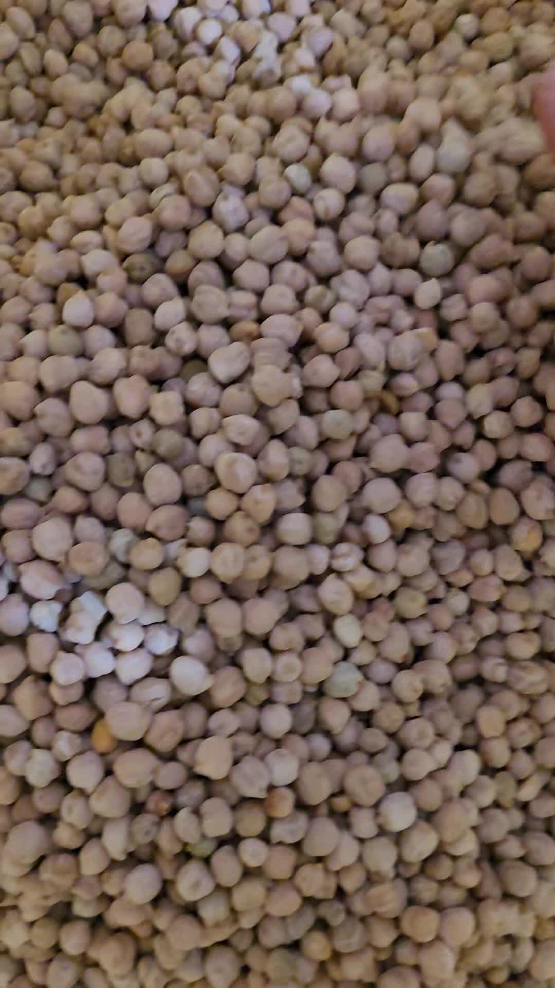 نخودآبگوشتی بهاره محلی کرمانشاه زودپزوبسیارخوش طعم|خوردنی و آشامیدنی|سرپل ذهاب, |دیوار