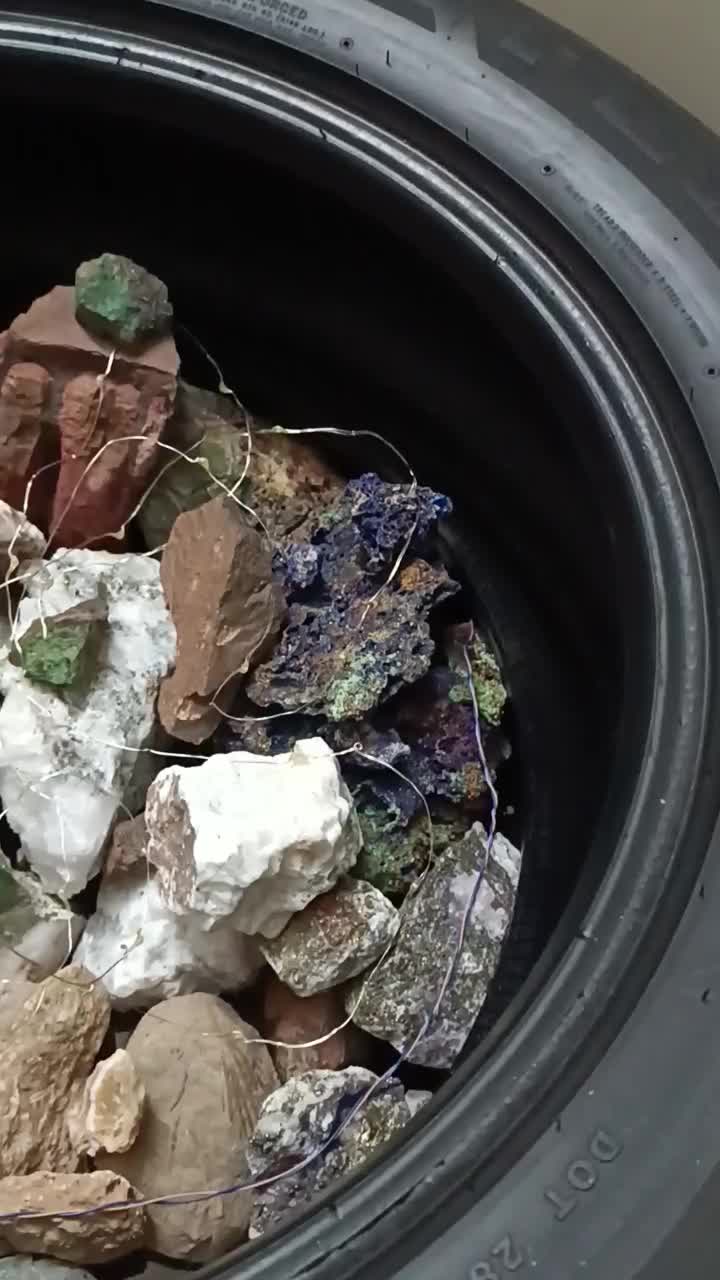 کلکسیون سنگ های زینتی و فسیل صدف و حلزون دریایی|کلکسیون و سرگرمی|اصفهان, جلالیه|دیوار