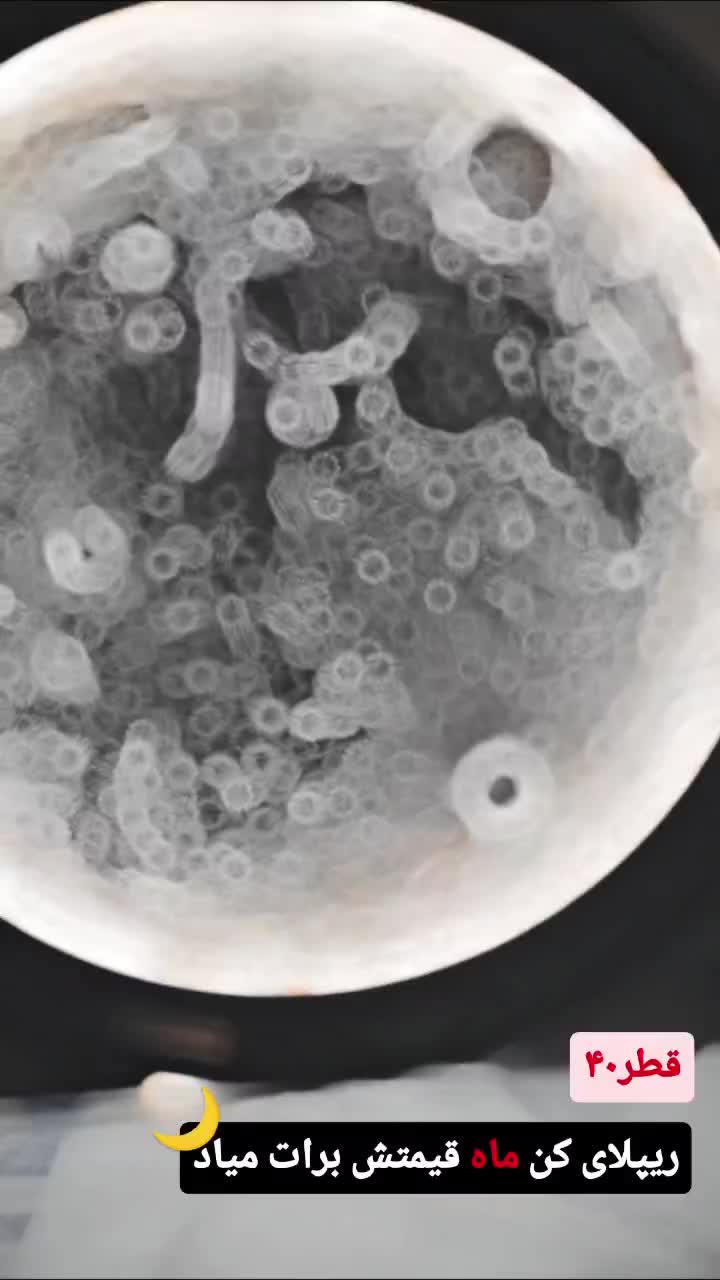 تابلوماه|صنایع دستی و سایر لوازم تزئینی|قشم, |دیوار