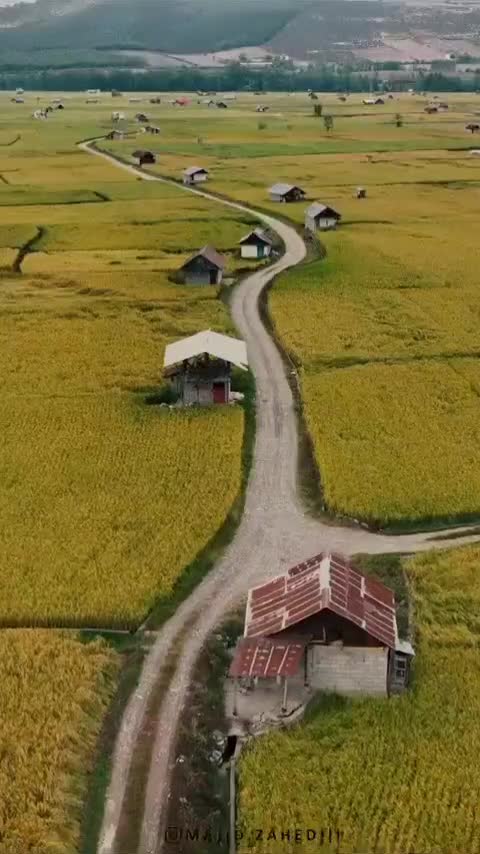 برنج ایرانی کشت دوم غلامعباس فلاح وپسران کیسه سبز|خوردنی و آشامیدنی|مشهد, رسالت|دیوار