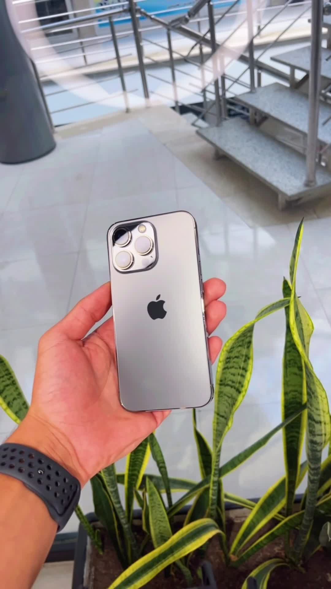 iphone13pro|موبایل|گنبد کاووس, |دیوار