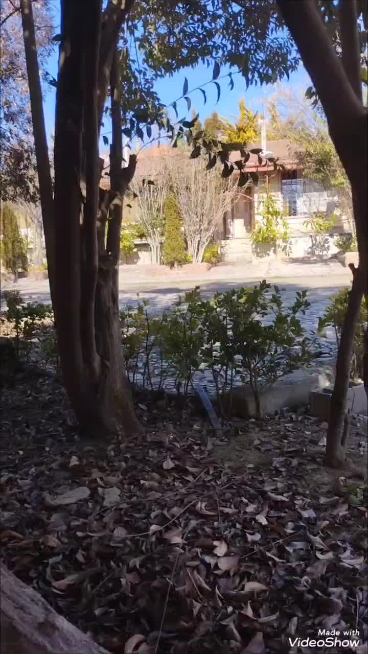 اجاره شش ماهه یا سالیانه مخصوص دو نفر|اجارهٔ خانه و ویلا|کلاردشت, |دیوار