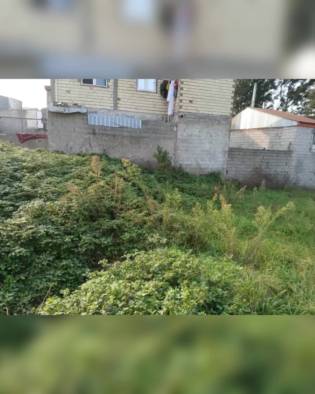 فروشی|فروش زمین و ملک کلنگی|رشت, حافظ آباد|دیوار