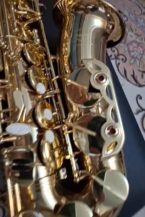 ساکسیفون مکستون  فرانسه|سازهای بادی|تبریز, |دیوار