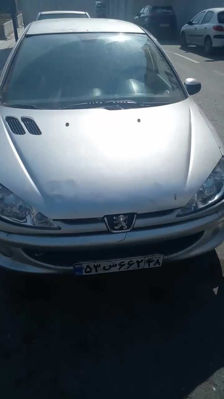 ۲۰۶ تیپ ۲|خودرو سواری و وانت|تهران, بریانک|دیوار