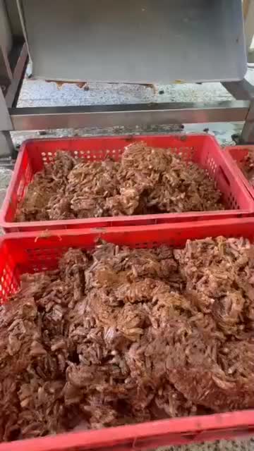 قهوه  هسته خرما درجه یک|عمده‌فروشی|بافق, |دیوار