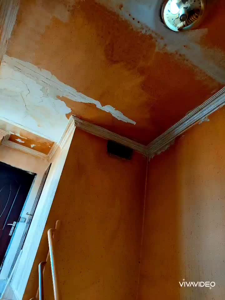 نقاشی ساختمان اجرای انواع رنگ و طرح کاغذ|خدمات پیشه و مهارت|مشهد, هدایت|دیوار