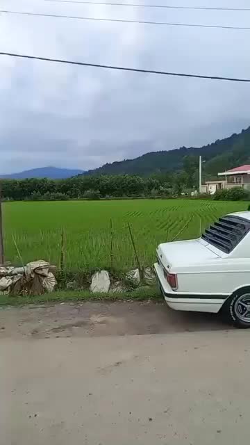 پیکان تیریپ جوانان|خودرو کلاسیک|فومن, |دیوار