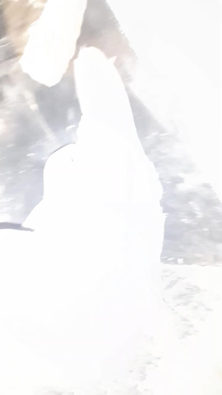 جفت خال چپ و پشت خال|پرنده|فردوس (خراسان), |دیوار