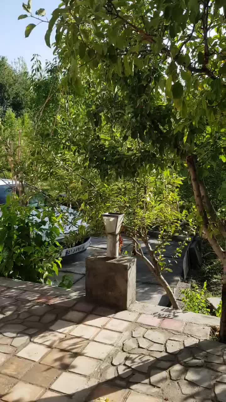 اجاره ویلا باغ ۲۰کیلو متر ی جاده ملایر|اجارهٔ کوتاهمدت ویلا و باغ|همدان, |دیوار