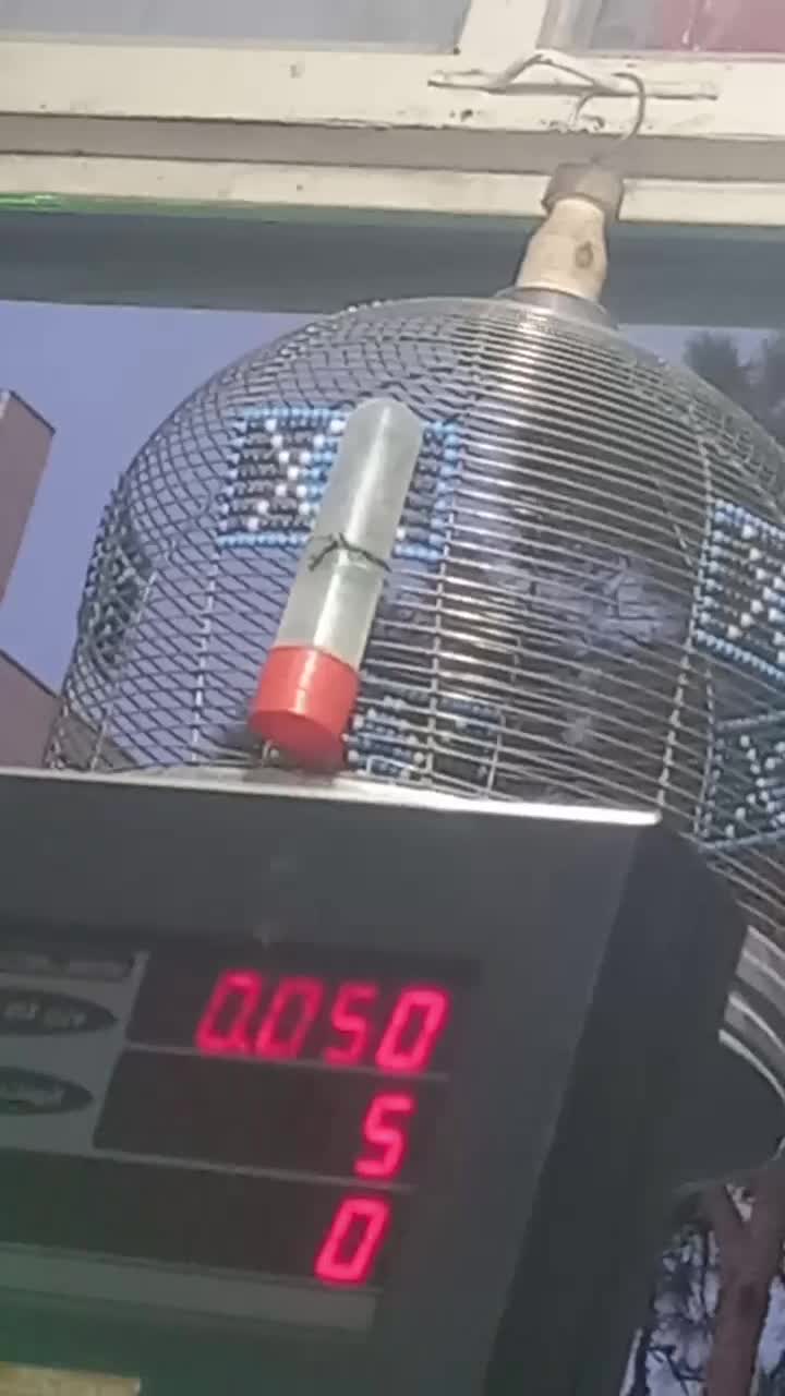 طغرا یا سهره خاکی|پرنده|کرمان, |دیوار