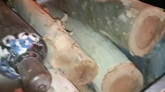 خریدن وبریدن انواع چوب با بهترین قیمت|خدمات باغبانی و درختکاری|یزد, |دیوار