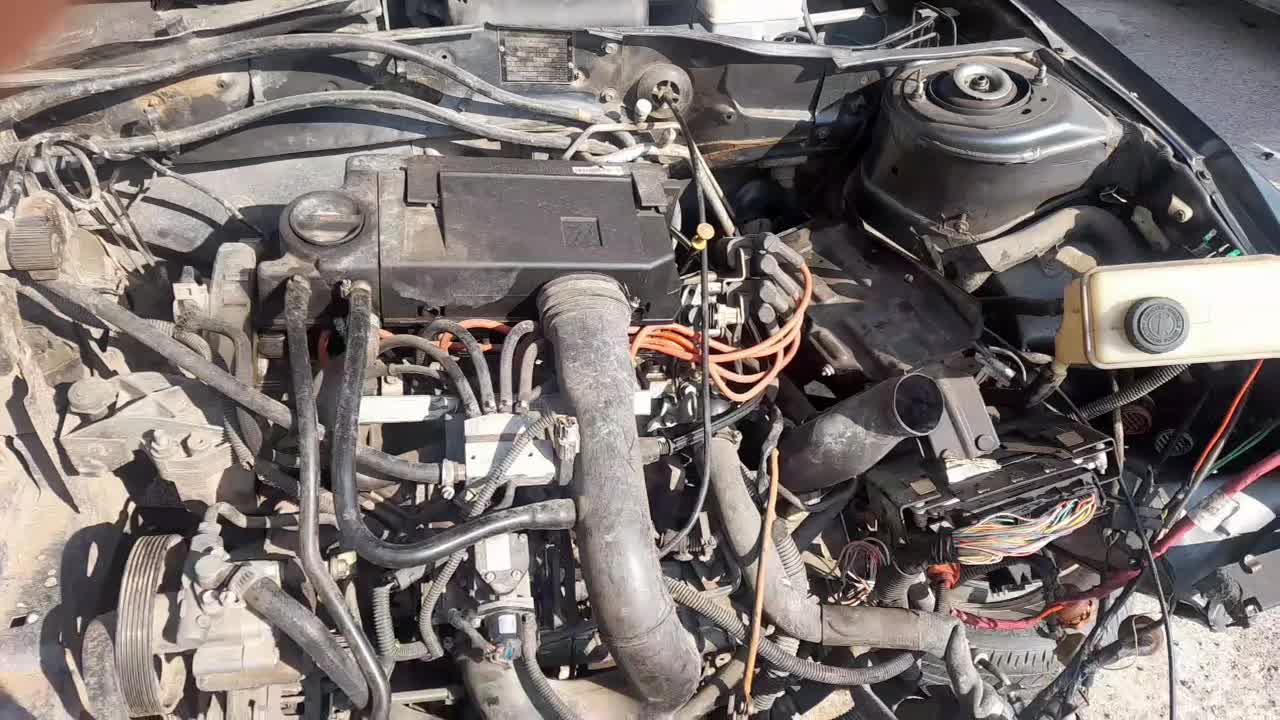 تصادفی پژو مدل ۹۶دوگانه کارخانه|خودرو سواری و وانت|تبریز, |دیوار