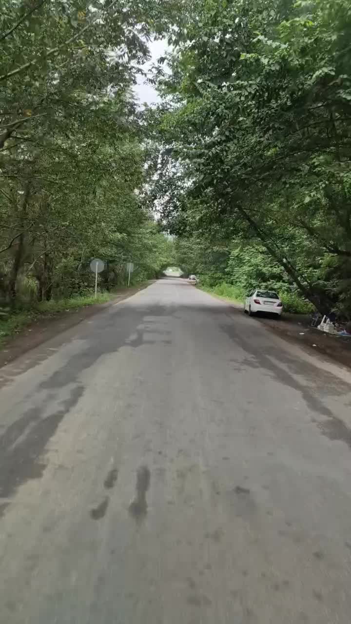 دربستی مینی بوس بنز کولر دار|خدمات حمل و نقل|رشت, گیل|دیوار