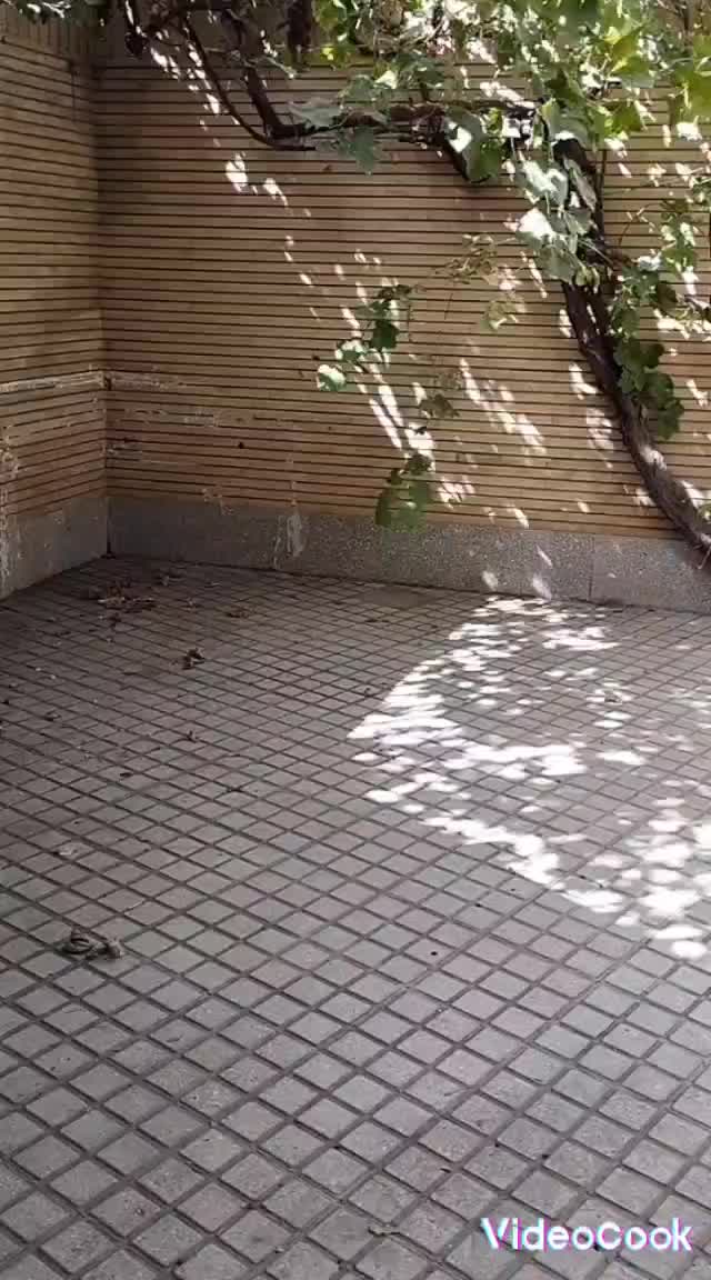 اجاره روزانه / هفتگی / ماهانه ـ خانه ویلایی|اجارهٔ کوتاهمدت ویلا و باغ|کرمانشاه, |دیوار