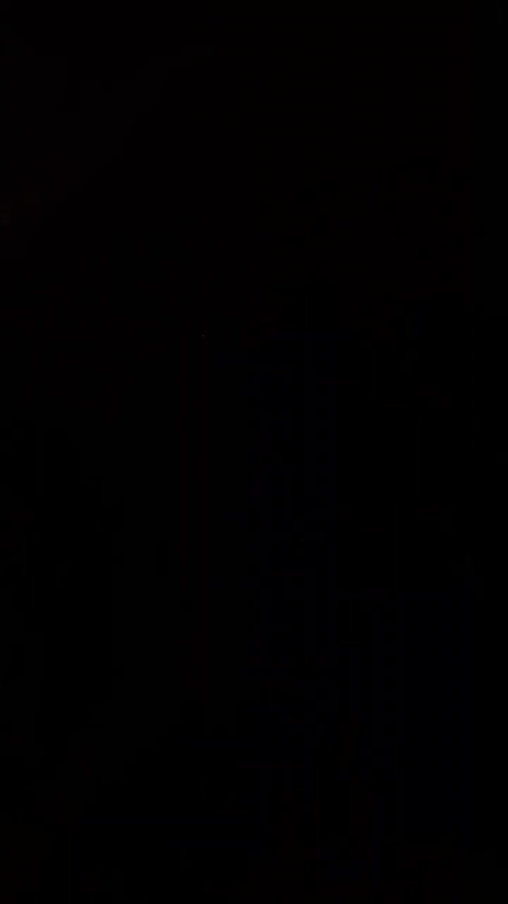 جفت قناری|پرنده|بندرعباس, |دیوار