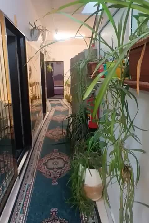 سوئیت  هتلی|اجارهٔ کوتاه‌مدت آپارتمان و سوئیت|تبریز, |دیوار