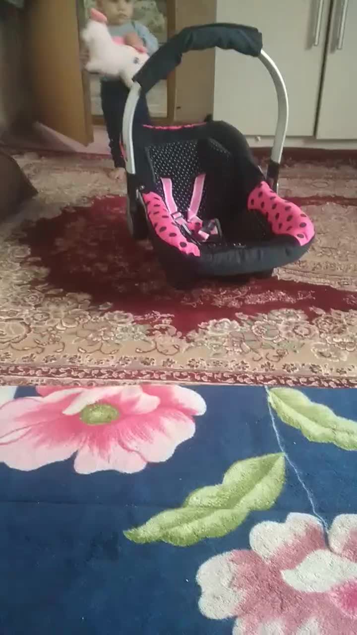 یک عددکریر|کالسکه و لوازم جانبی|نشتارود, |دیوار