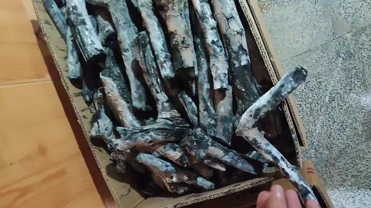 زغال|عمده‌فروشی|حمیدیا, |دیوار