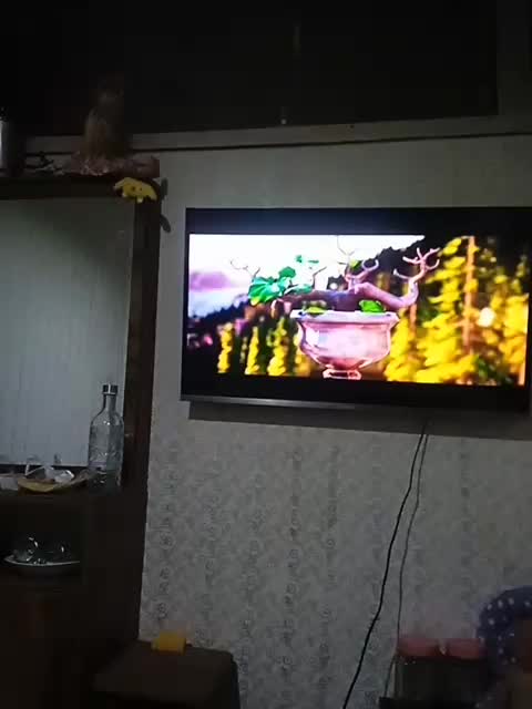 تلوزیون تخت 43اینج|تلویزیون و پروژکتور|اردبیل, |دیوار