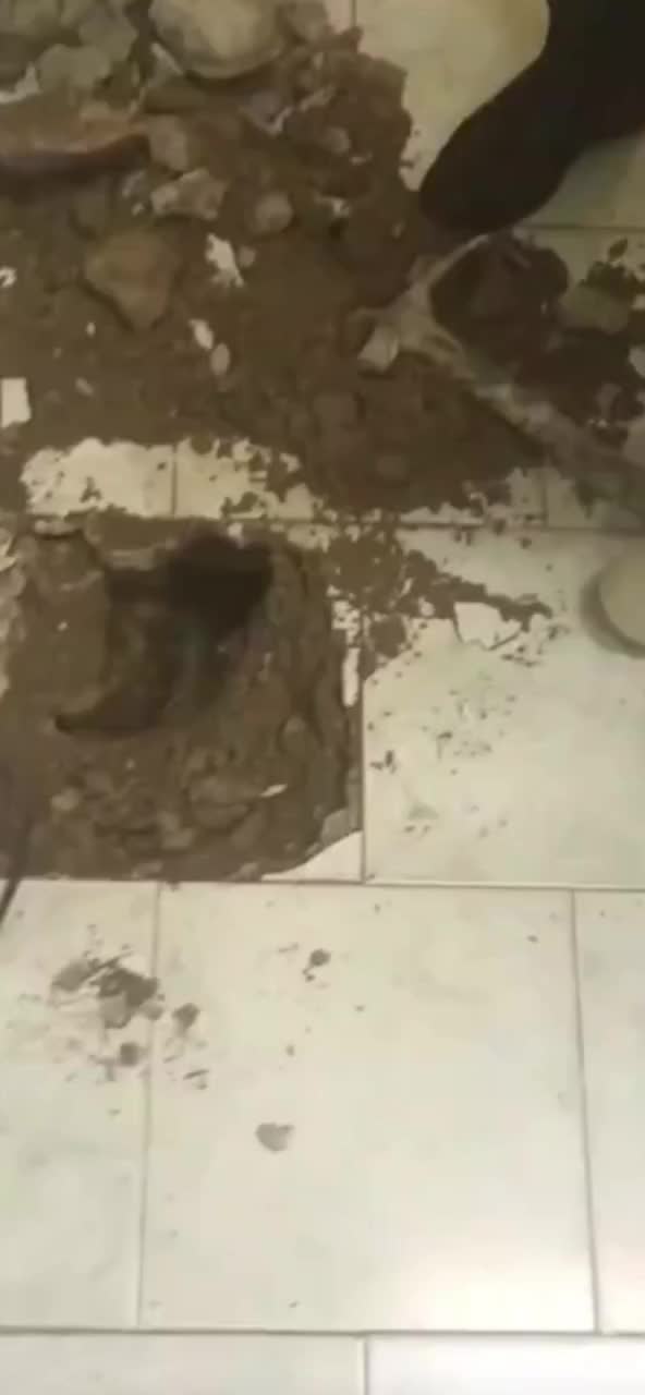 سیّد برقی تسیسات فنری تصویه اب فیلتر رفع نمِ|خدمات پیشه و مهارت|بجنورد, |دیوار