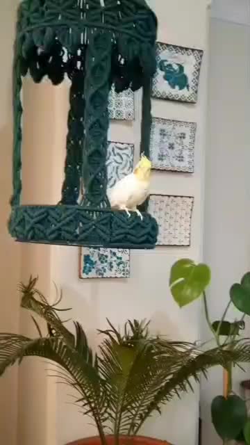 آموزش مکرومه بافی|خدمات آموزشی|کرج, گلشهر|دیوار