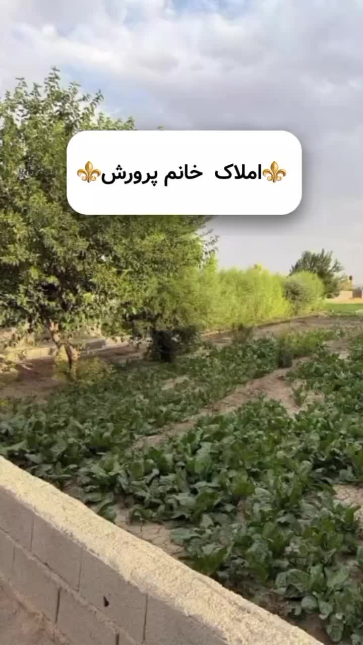 مخصوص تفریح/چهار دیواری/انشعابات تکمیل|فروش زمین و ملک کلنگی|اصفهان, زیار|دیوار