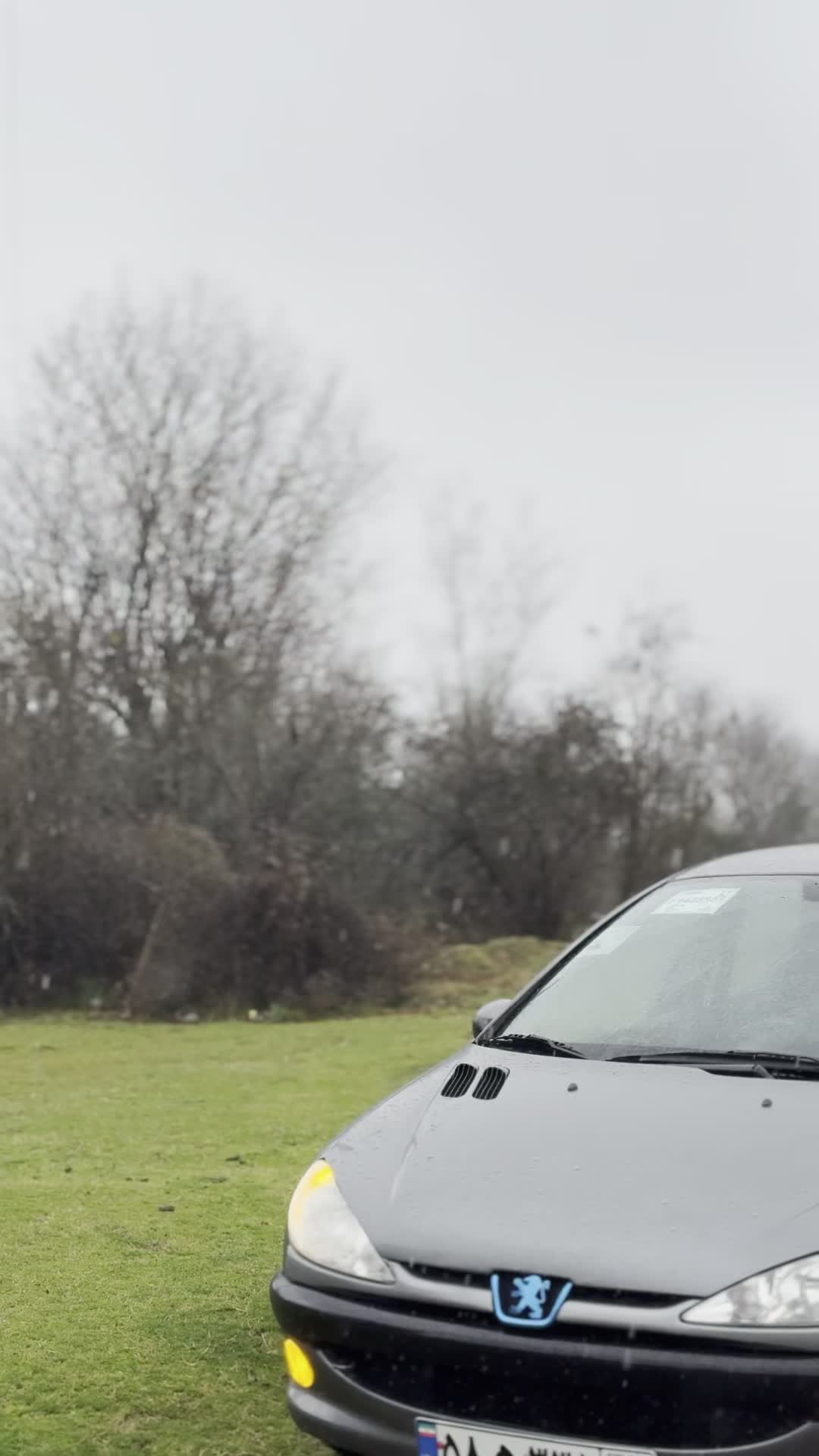 206 تیپ۲ مدل۸۷|خودرو سواری و وانت|رضوانشهر, |دیوار