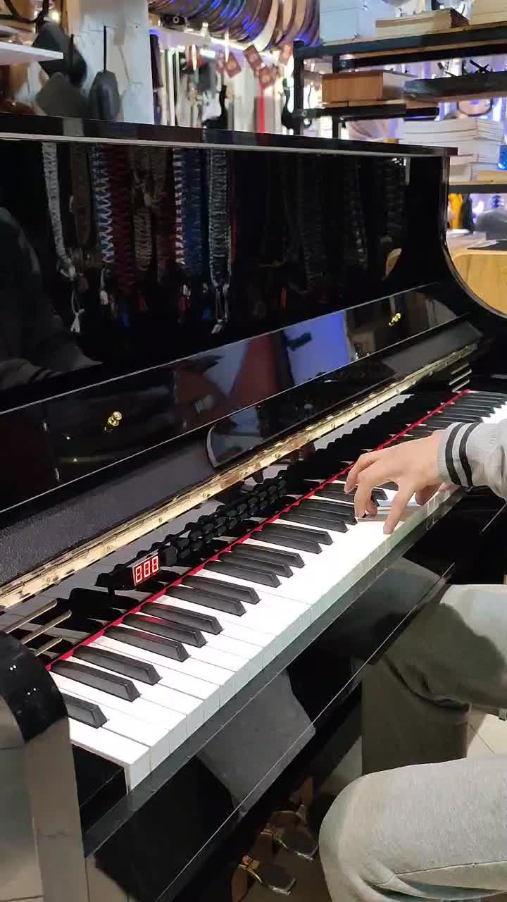 از تولیدی مستقیم پیانو ببر با ضمانت و گارانتی|پیانو، کیبورد، آکاردئون|مشهد, امیر|دیوار
