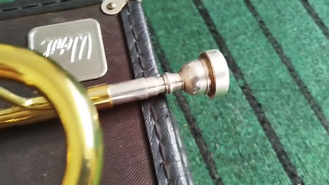 ترومپت برزیلی|سازهای بادی|بهشهر, |دیوار