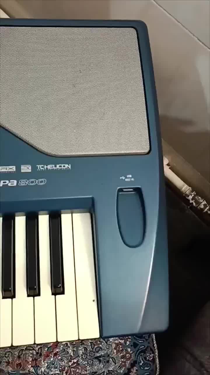 korg pa800 v693|پیانو، کیبورد، آکاردئون|ساوه, |دیوار