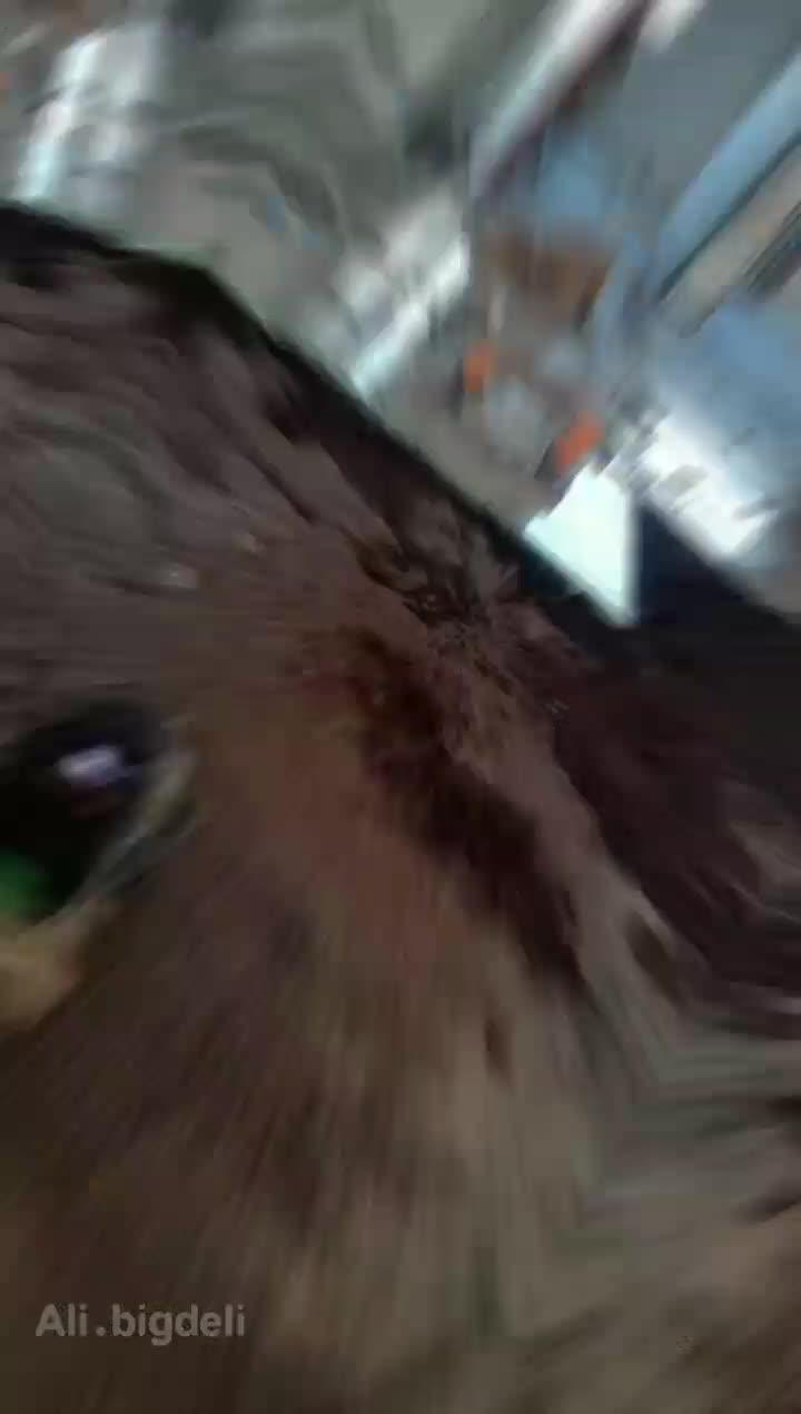 سرامیک کاری و بازسازی|خدمات پیشه و مهارت|محمدیه-قزوین, |دیوار