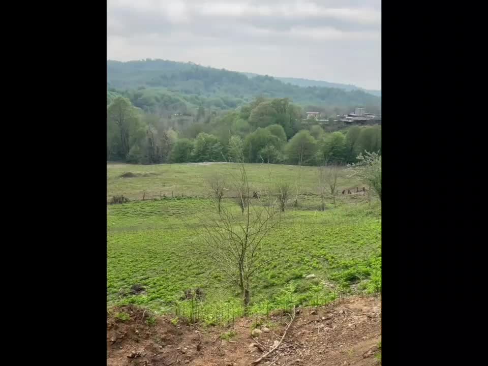زمین استثنایی چشم انداز تا آخر سد و جنگل برنجستانک|فروش زمین و ملک کلنگی|قائمشهر, |دیوار