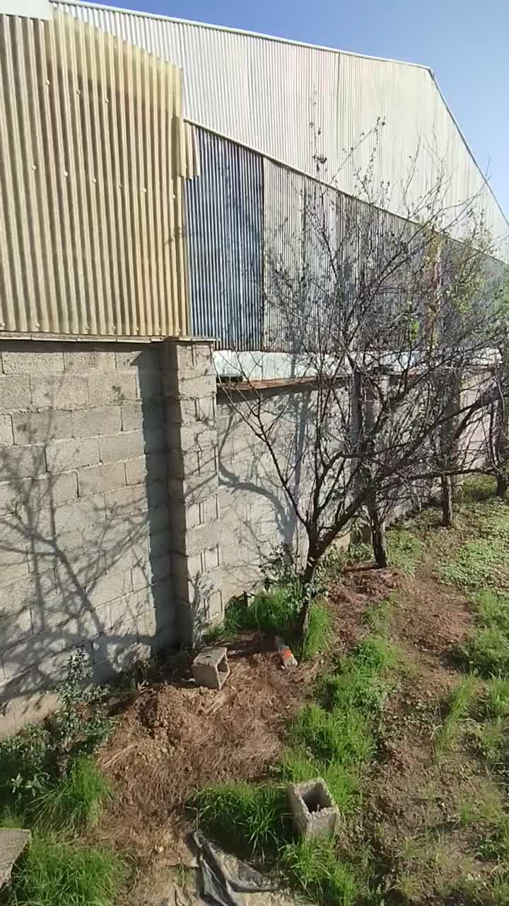 فروش زمین ۳۰۰متری سند دار دور دیوار در رشت آتشگاه|فروش زمین و ملک کلنگی|رشت, آتشگاه|دیوار