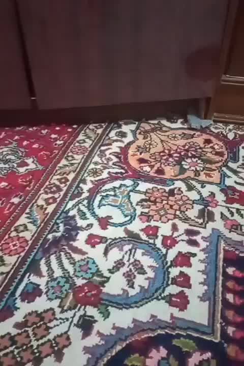 کتابخانه پنج طبقه|کتابخانه، شلف، قفسه‌های دیواری|ارومیه, |دیوار