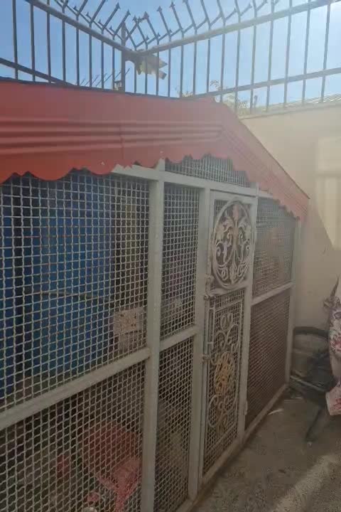 قفس ..مناسب برای پرنده یا حیوانات|لوازم جانبی حیوانات|چادگان, |دیوار