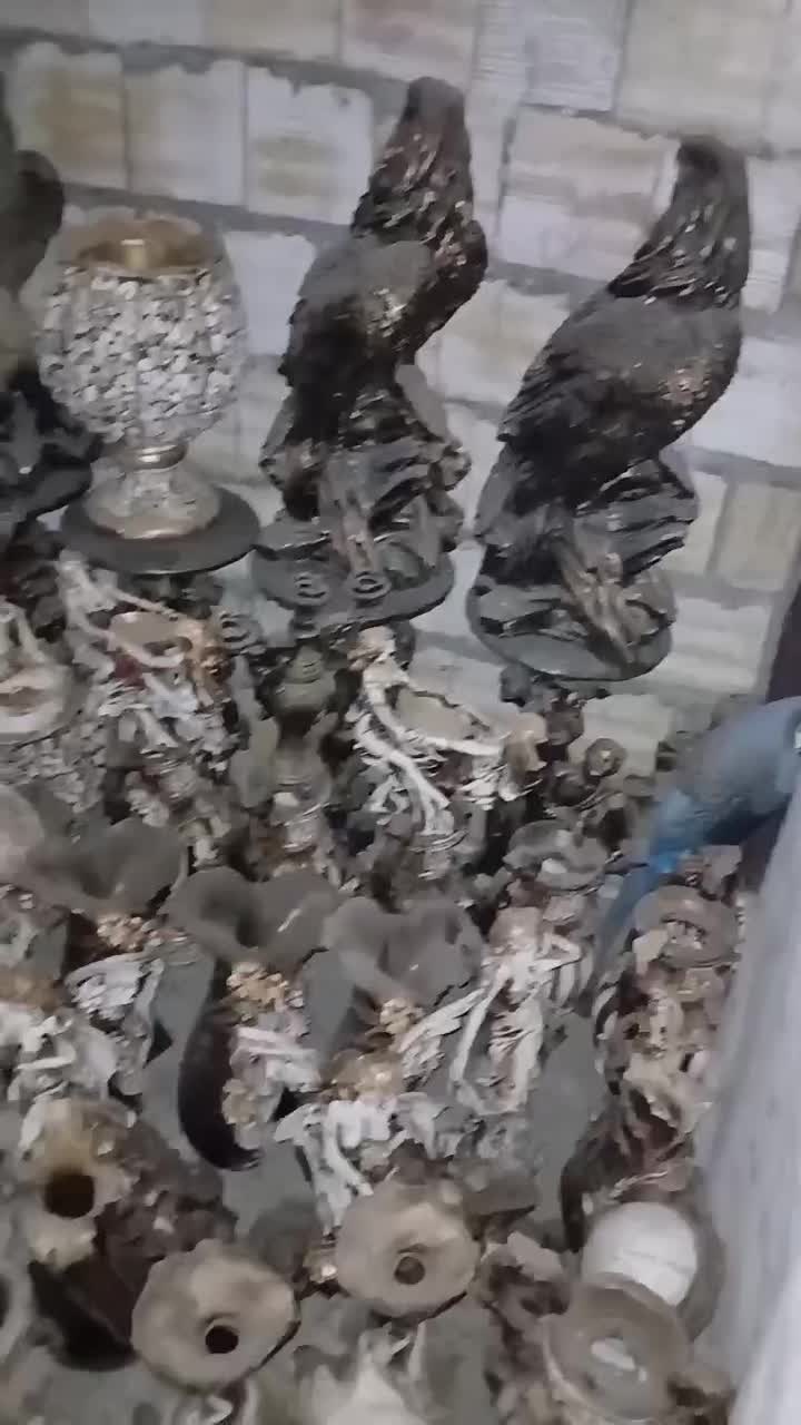 فروش محدود مجسمه های گچی به قیمت پول یک آدامس|مجسمه، تندیس، ماکت|کاشان, شهرک امیرالمومنین|دیوار