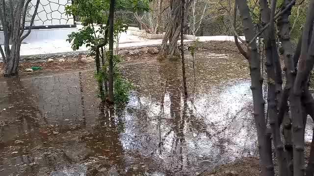 فروش باغستان سیاه میوه در پلنگان|فروش زمین و ملک کلنگی|نیریز, |دیوار